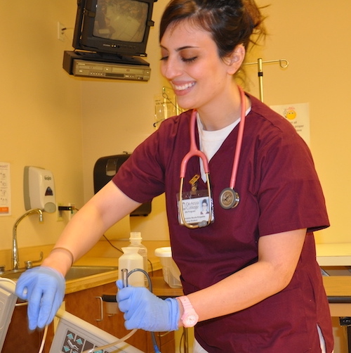 nursing student checking IV line