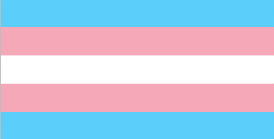 trans flag